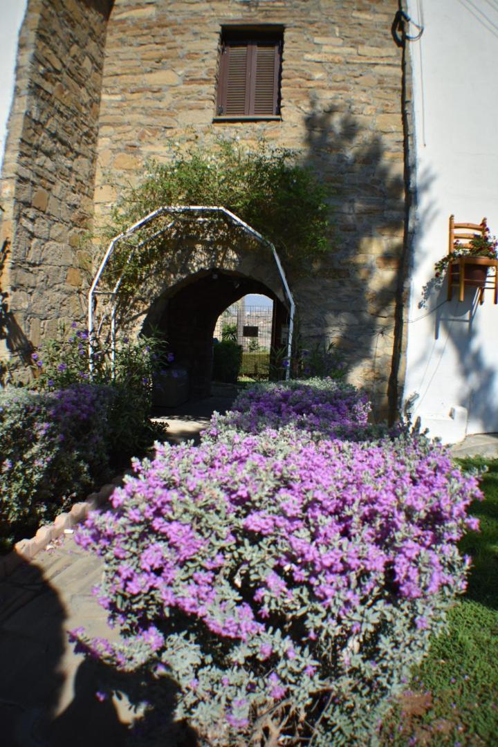 George Houses Pentakomo Oda fotoğraf